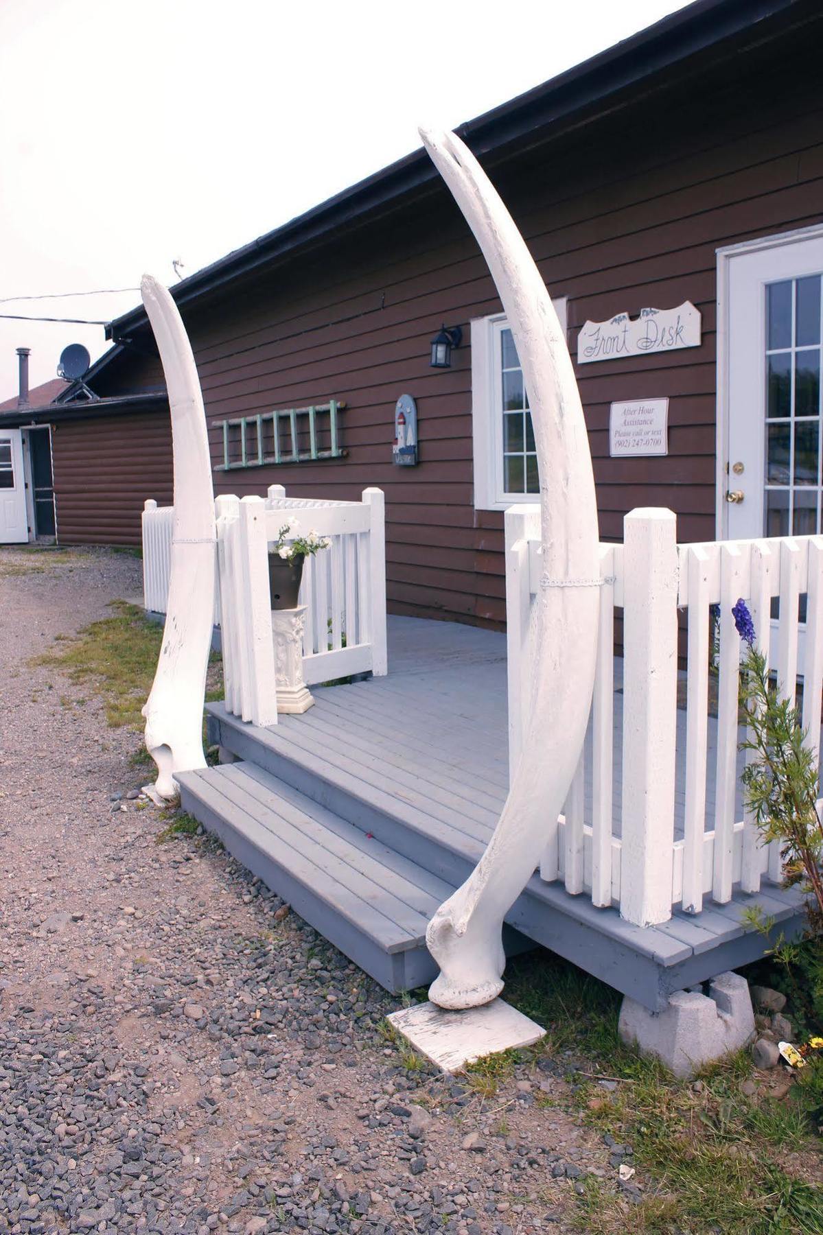 Brier Island Lodge Westport Экстерьер фото